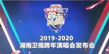 湖南跨年爆料最新消息,璀璨烟花秀与明星阵容大揭秘！